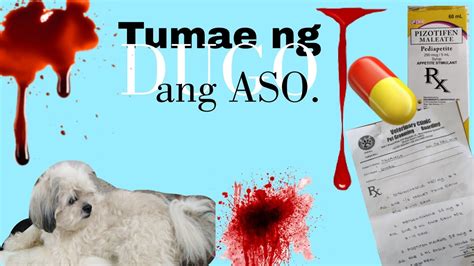 Ano mga posibleng sakit pag tumae ka ng dugo